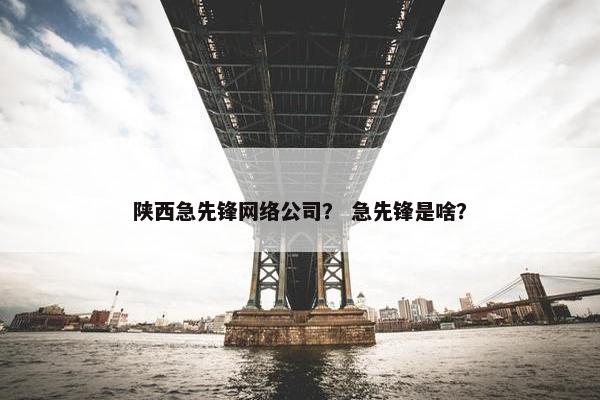 陕西急先锋网络公司？ 急先锋是啥？
