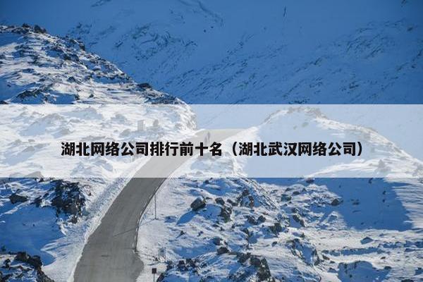 湖北网络公司排行前十名（湖北武汉网络公司）