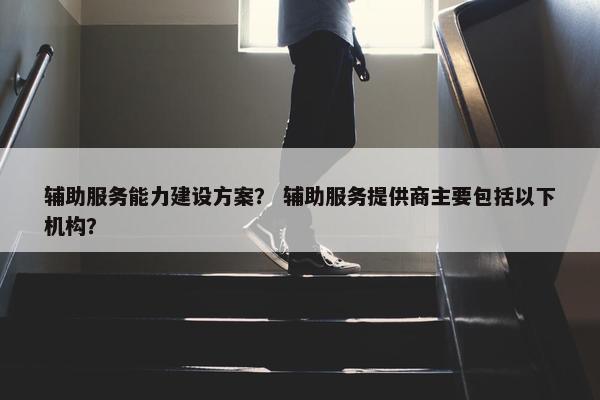 辅助服务能力建设方案？ 辅助服务提供商主要包括以下机构？