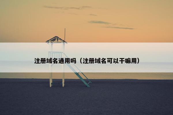 注册域名通用吗（注册域名可以干嘛用）