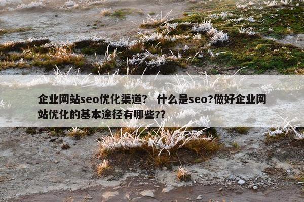 企业网站seo优化渠道？ 什么是seo?做好企业网站优化的基本途径有哪些?？