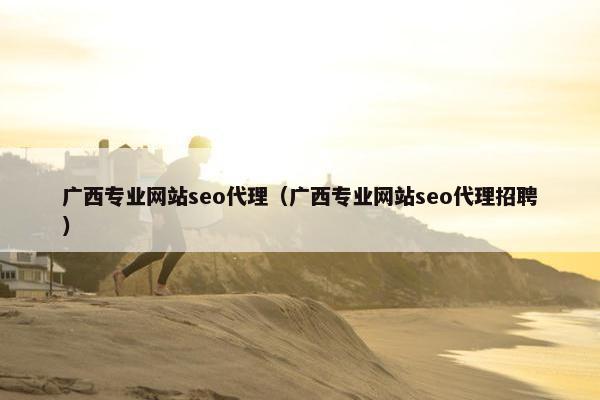 广西专业网站seo代理（广西专业网站seo代理招聘）