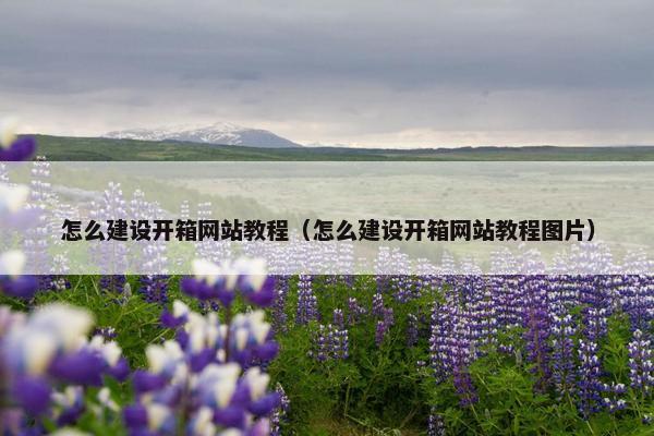 怎么建设开箱网站教程（怎么建设开箱网站教程图片）