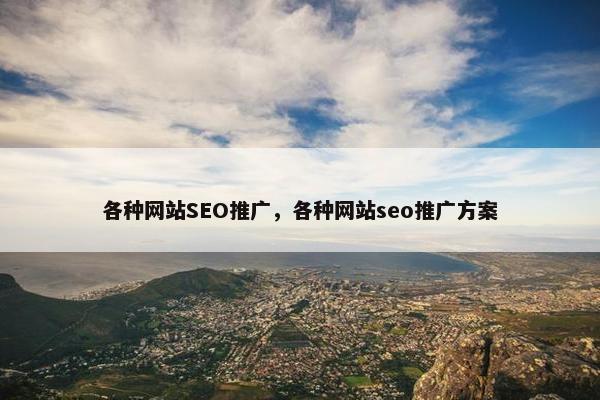 各种网站SEO推广，各种网站seo推广方案