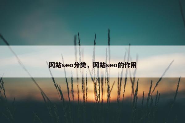 网站seo分类，网站seo的作用