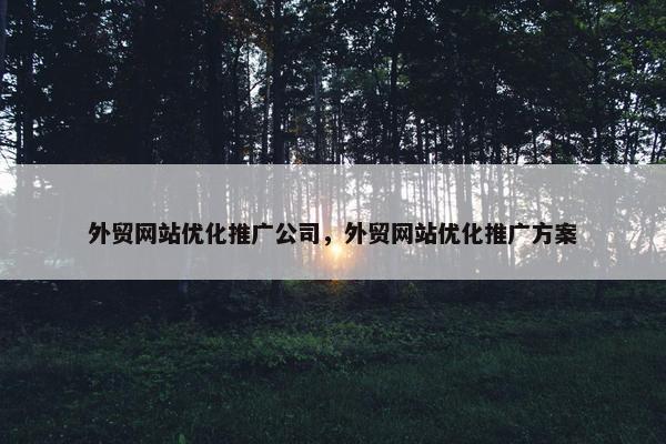 外贸网站优化推广公司，外贸网站优化推广方案