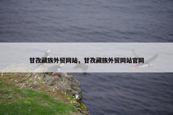 甘孜藏族外贸网站，甘孜藏族外贸网站官网