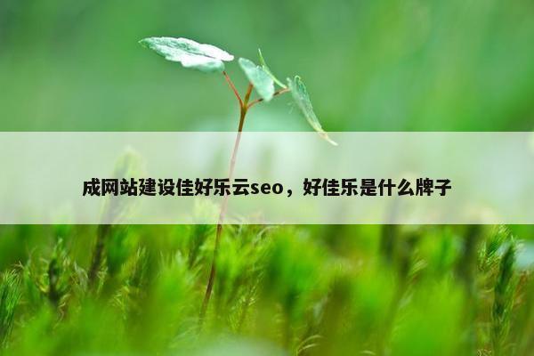 成网站建设佳好乐云seo，好佳乐是什么牌子