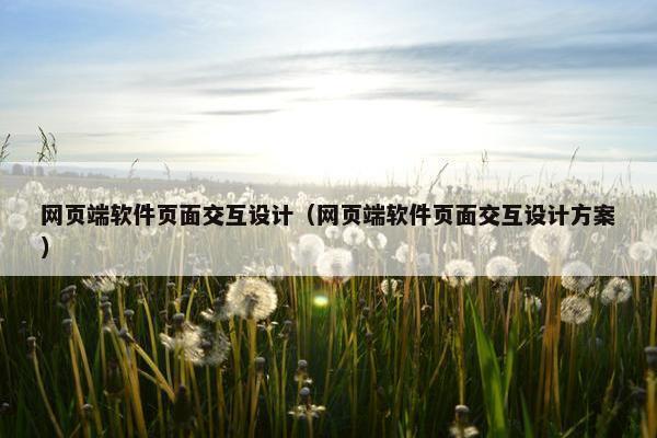 网页端软件页面交互设计（网页端软件页面交互设计方案）