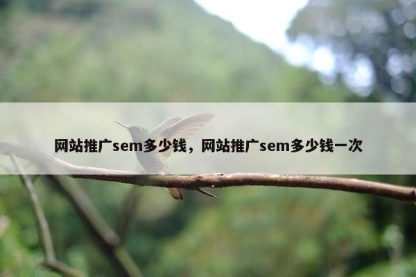 网站推广sem多少钱，网站推广sem多少钱一次