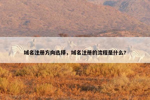 域名注册方向选择，域名注册的流程是什么?