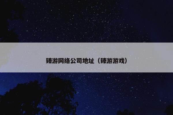 臻游网络公司地址（臻游游戏）