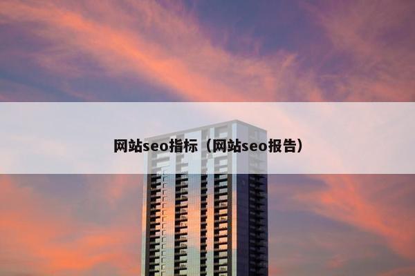 网站seo指标（网站seo报告）