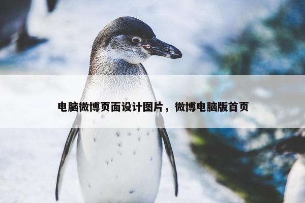 电脑微博页面设计图片，微博电脑版首页