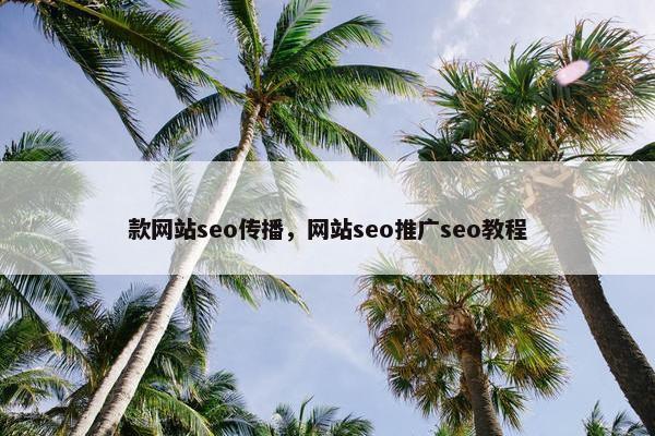 款网站seo传播，网站seo推广seo教程