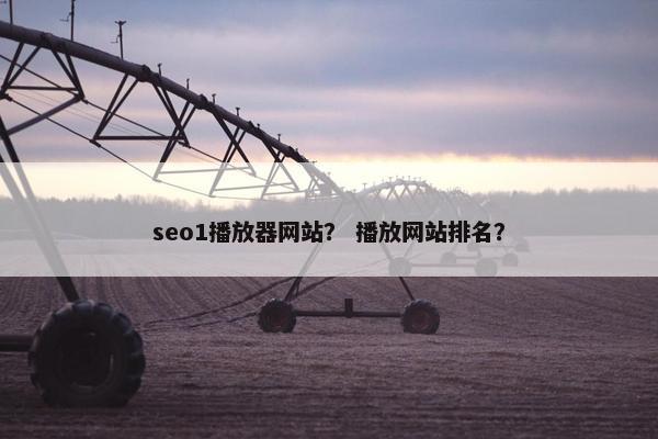 seo1播放器网站？ 播放网站排名？