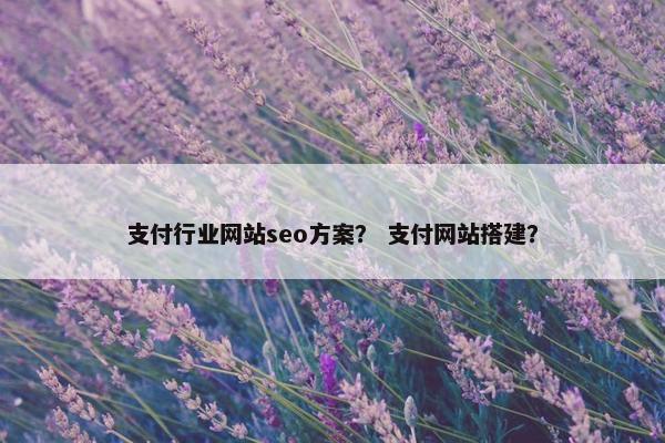 支付行业网站seo方案？ 支付网站搭建？
