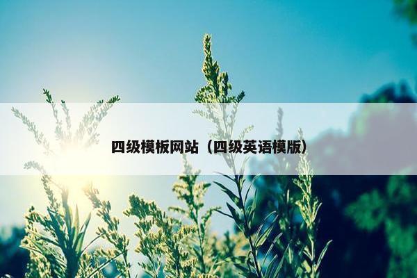 四级模板网站（四级英语模版）