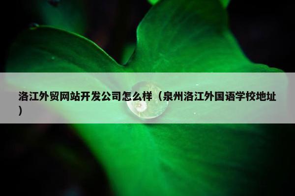 洛江外贸网站开发公司怎么样（泉州洛江外国语学校地址）