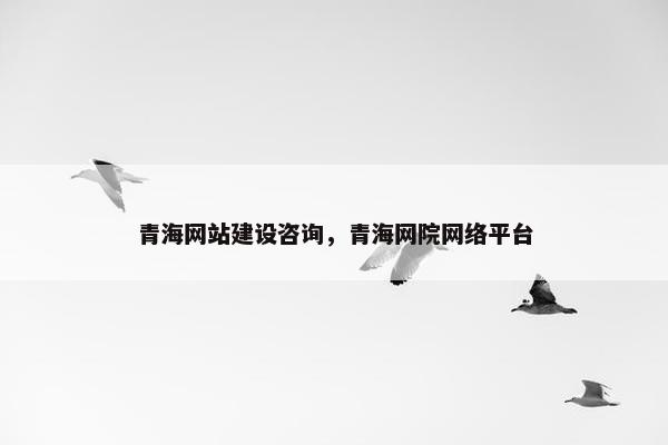 青海网站建设咨询，青海网院网络平台