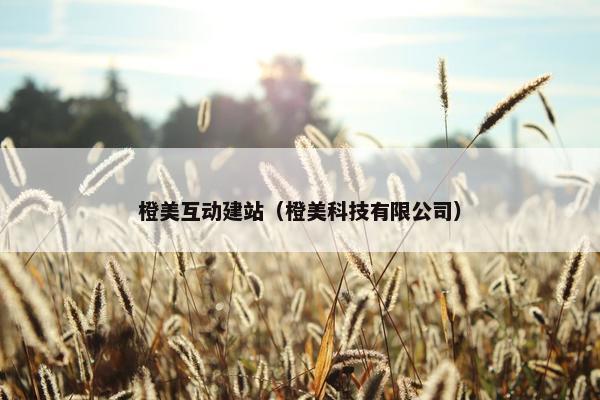 橙美互动建站（橙美科技有限公司）