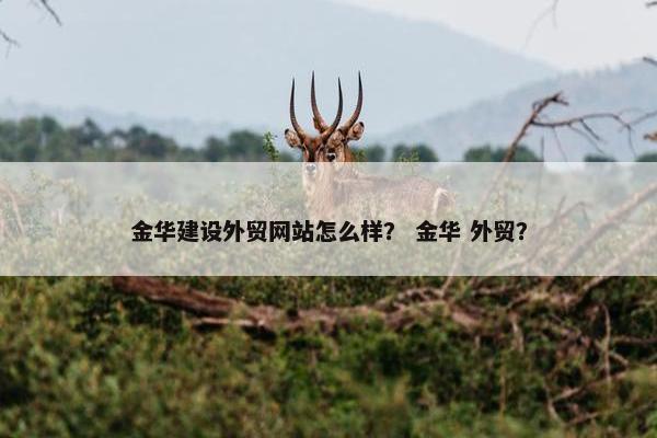 金华建设外贸网站怎么样？ 金华 外贸？
