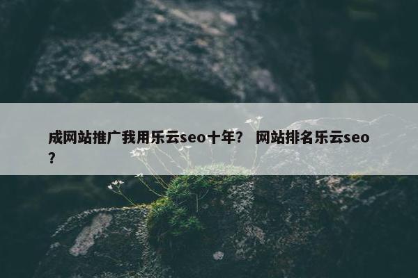 成网站推广我用乐云seo十年？ 网站排名乐云seo？