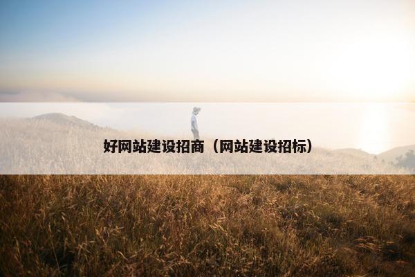 好网站建设招商（网站建设招标）
