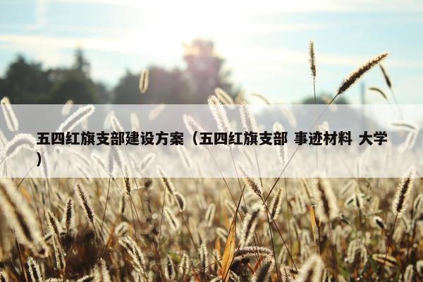 五四红旗支部建设方案（五四红旗支部 事迹材料 大学）