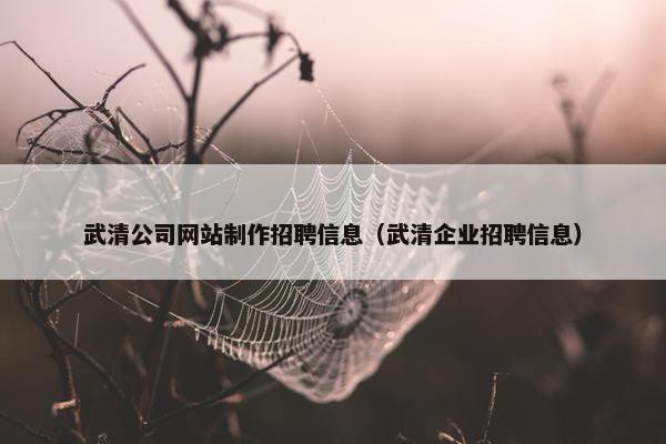 武清公司网站制作招聘信息（武清企业招聘信息）