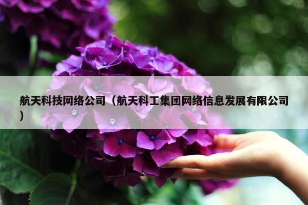 航天科技网络公司（航天科工集团网络信息发展有限公司）