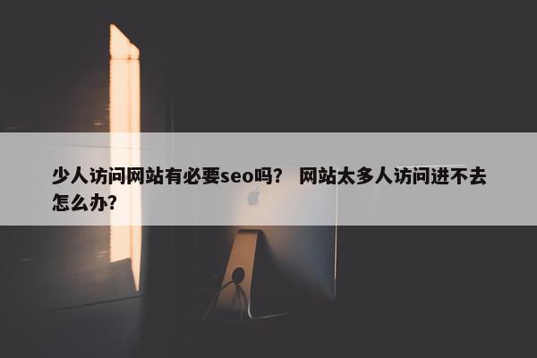 少人访问网站有必要seo吗？ 网站太多人访问进不去怎么办？