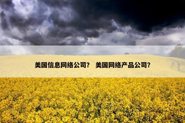 美国信息网络公司？ 美国网络产品公司？