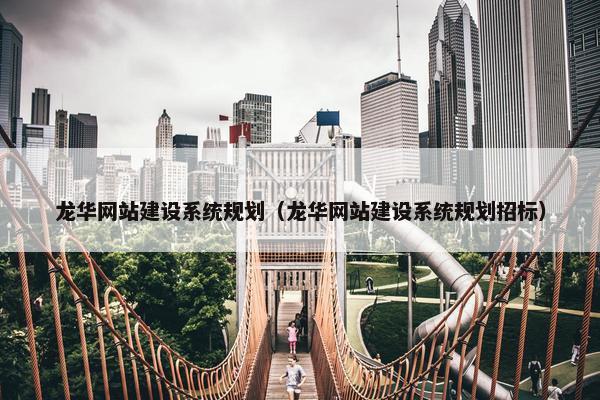 龙华网站建设系统规划（龙华网站建设系统规划招标）