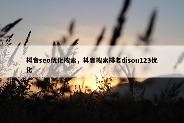抖音seo优化搜索，抖音搜索排名disou123优化