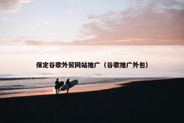 保定谷歌外贸网站推广（谷歌推广外包）