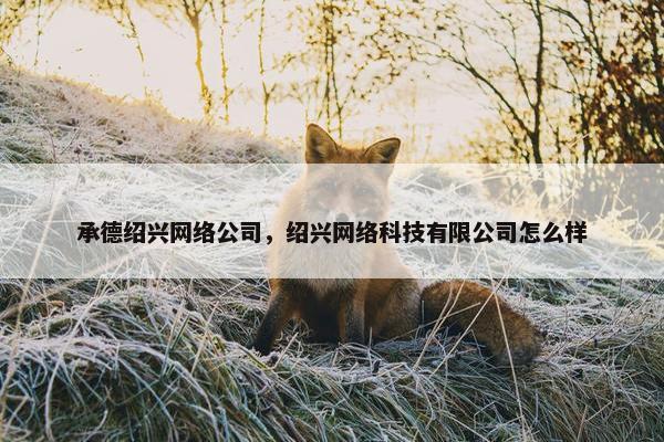 承德绍兴网络公司，绍兴网络科技有限公司怎么样