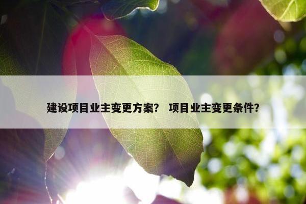 建设项目业主变更方案？ 项目业主变更条件？