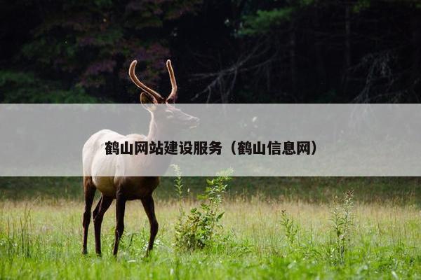 鹤山网站建设服务（鹤山信息网）