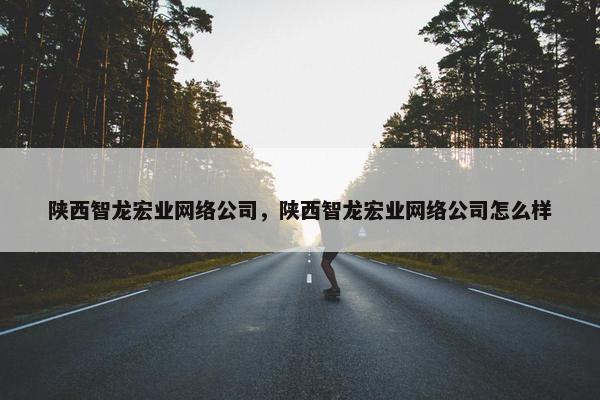 陕西智龙宏业网络公司，陕西智龙宏业网络公司怎么样
