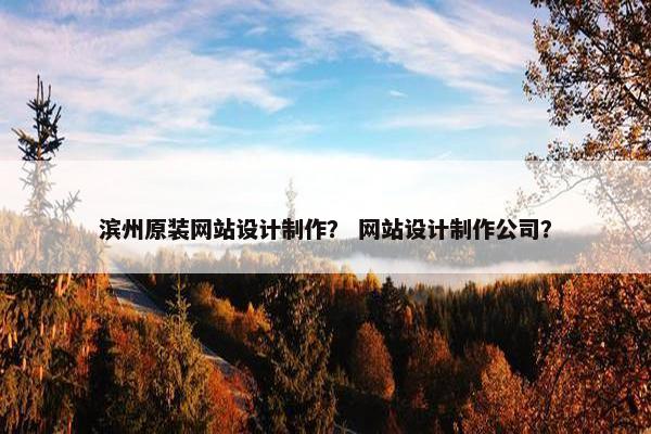 滨州原装网站设计制作？ 网站设计制作公司？
