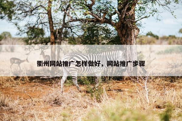 衢州网站推广怎样做好，网站推广步骤