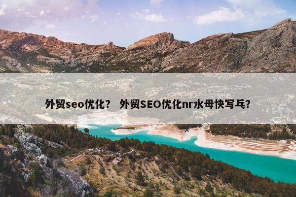 外贸seo优化？ 外贸SEO优化nr水母快写乓？