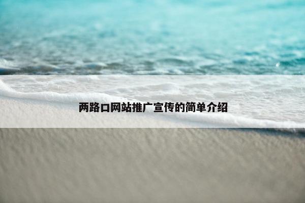 两路口网站推广宣传的简单介绍