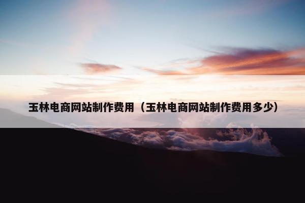 玉林电商网站制作费用（玉林电商网站制作费用多少）
