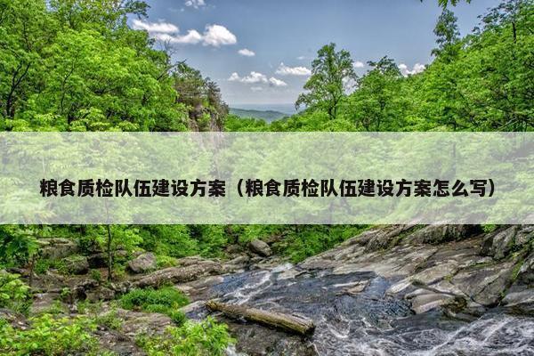 粮食质检队伍建设方案（粮食质检队伍建设方案怎么写）