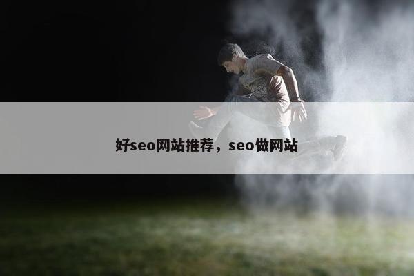 好seo网站推荐，seo做网站