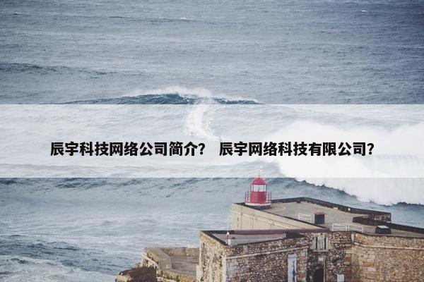 辰宇科技网络公司简介？ 辰宇网络科技有限公司？
