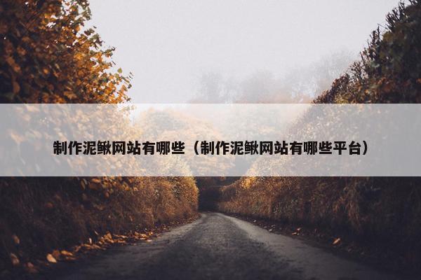制作泥鳅网站有哪些（制作泥鳅网站有哪些平台）