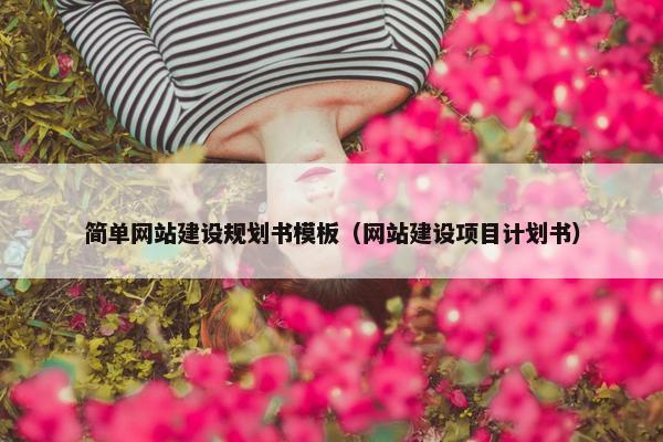 简单网站建设规划书模板（网站建设项目计划书）